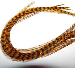 ���� Dry Fly (��� ����� ���) 10 ��. grizzly sunburst  , ������ � 8-10